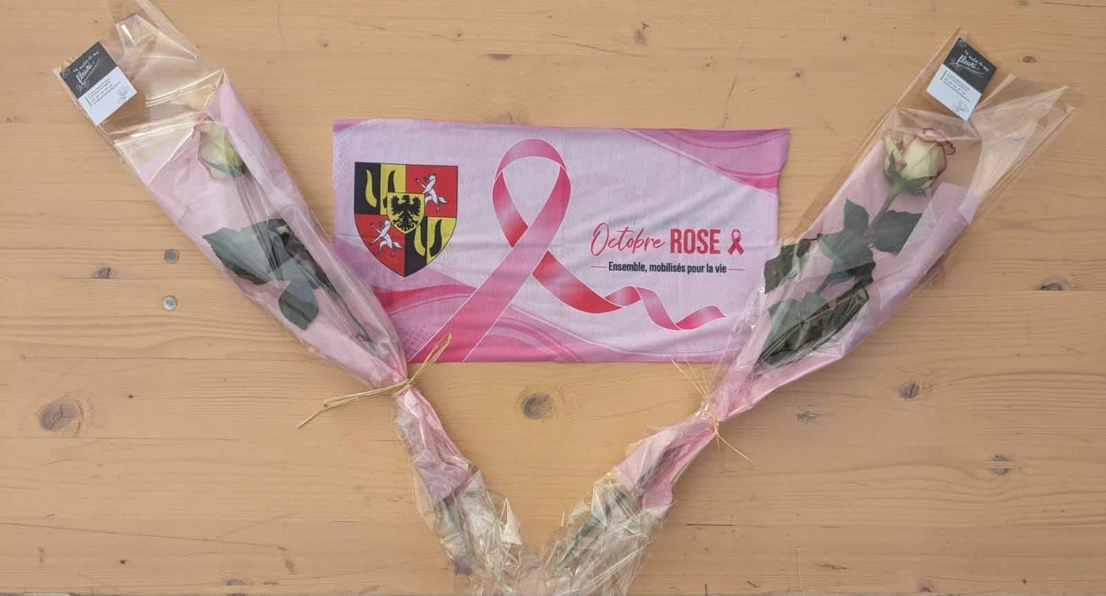 Octobre Rose : une première marche solidaire couronnée de succès à Oberschaeffolsheim